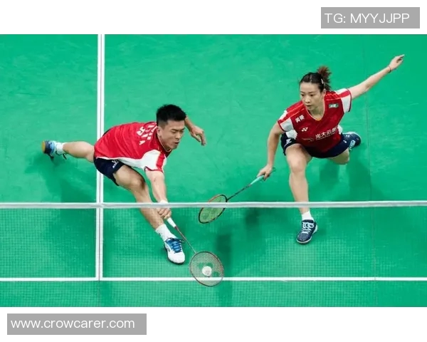 杭州羽毛球队运营模式解析与发展前景探讨