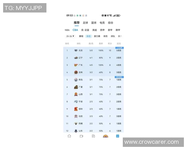 北京篮球队在杯赛积分榜上以65分稳居第一位置展现强劲实力