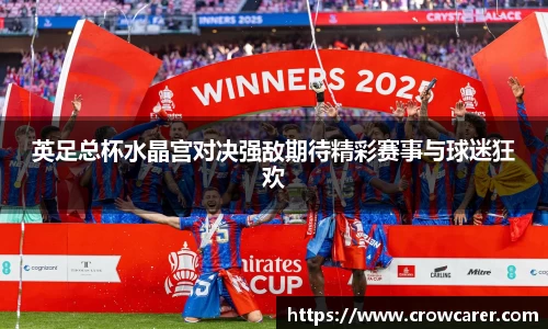 英足总杯水晶宫对决强敌期待精彩赛事与球迷狂欢